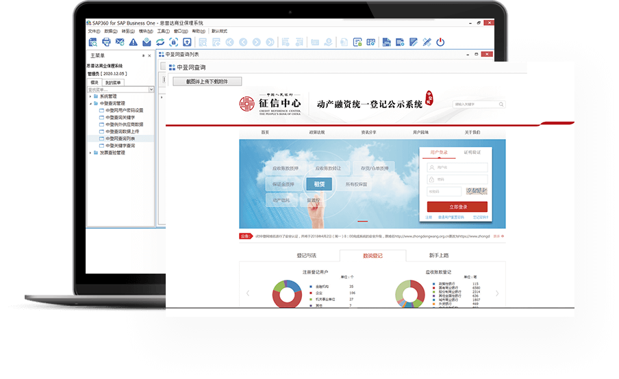 中登网一键批量智能查询
